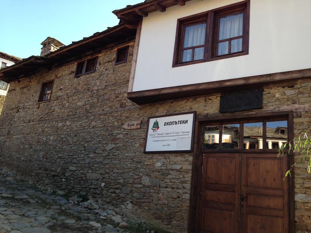 Ristevata Guest House Kovaceviţa Exterior foto