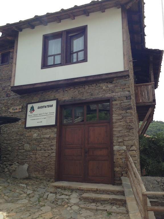 Ristevata Guest House Kovaceviţa Exterior foto